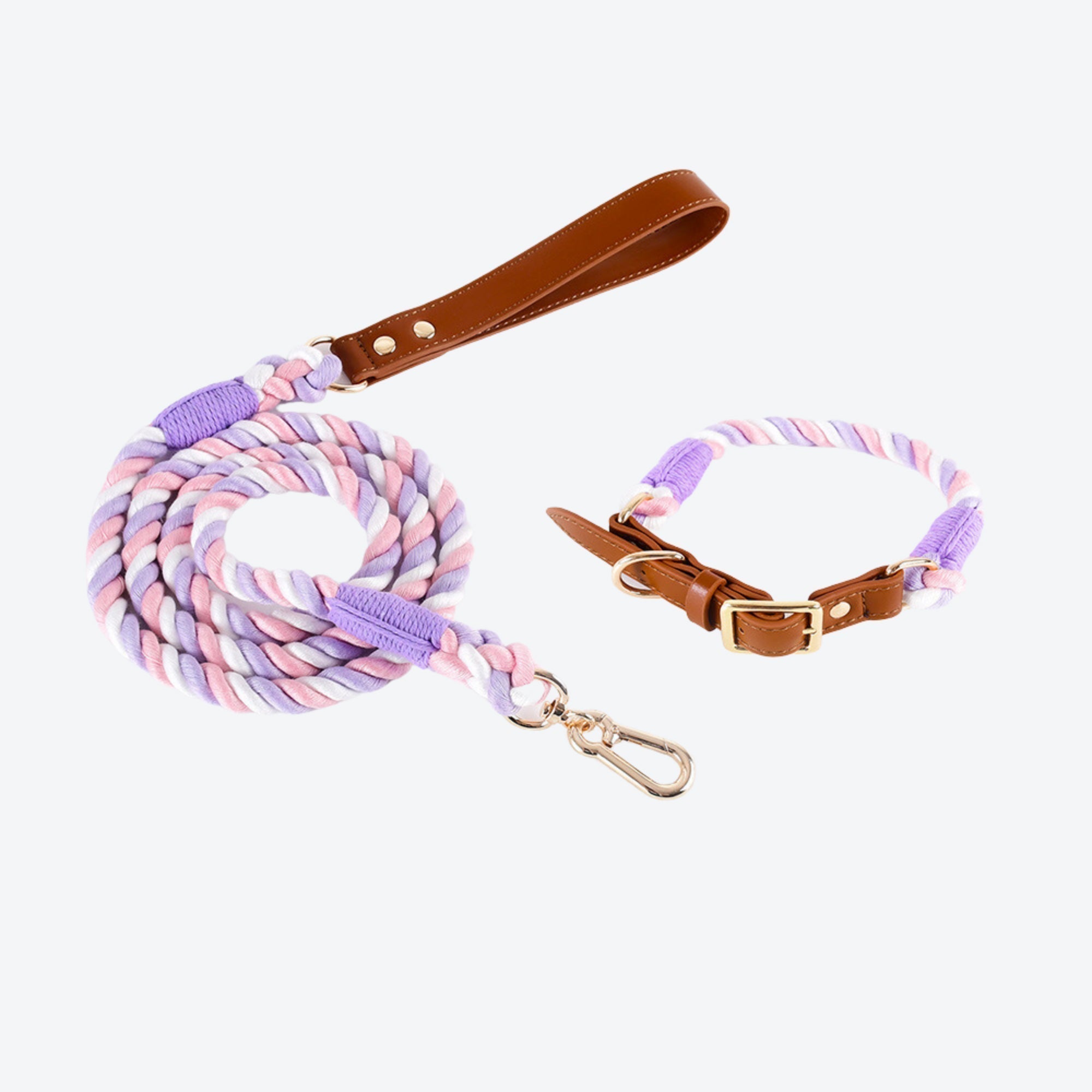 Pupwonders | Boston Rainbow Leather & Braided Cotton Pet Walk Kits Purple / S