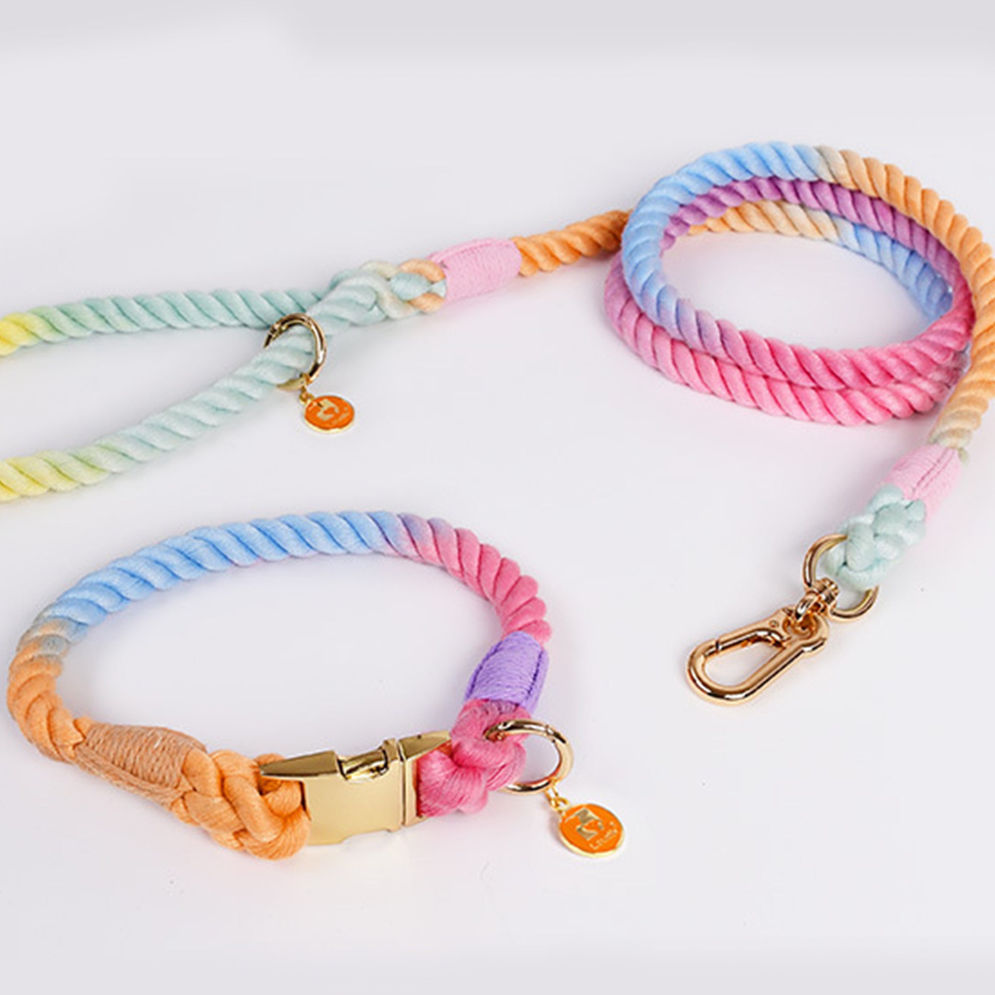 Pupwonders | Rainbow Handmade Traction Rope Walking Kit