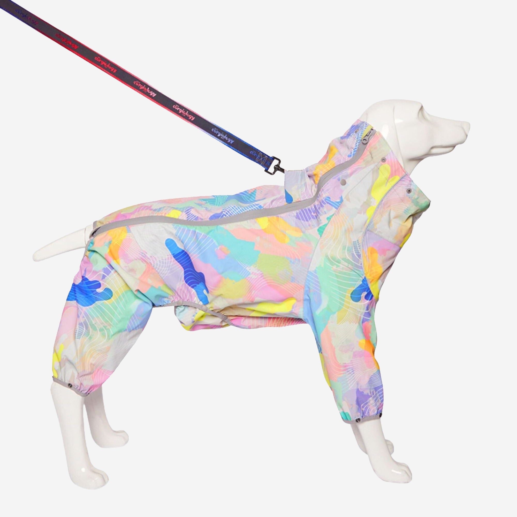 Corgiology| Rainbow Pop Dog Raincoat,Rainbow