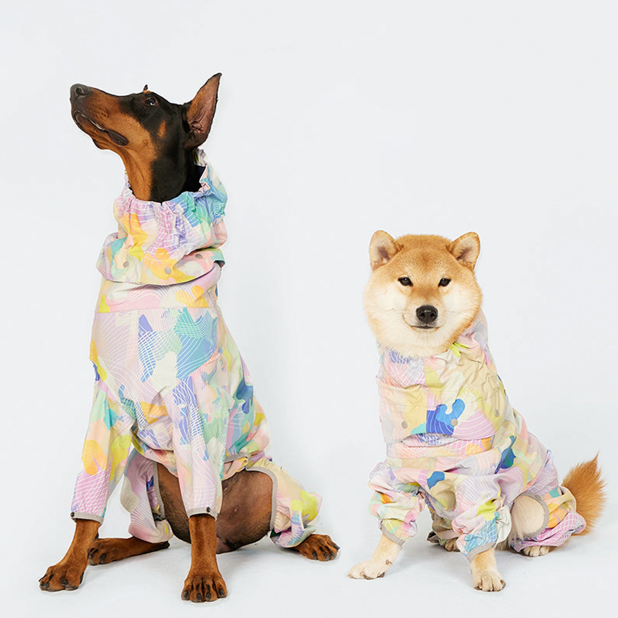 Corgiology| Rainbow Pop Dog Raincoat,Rainbow