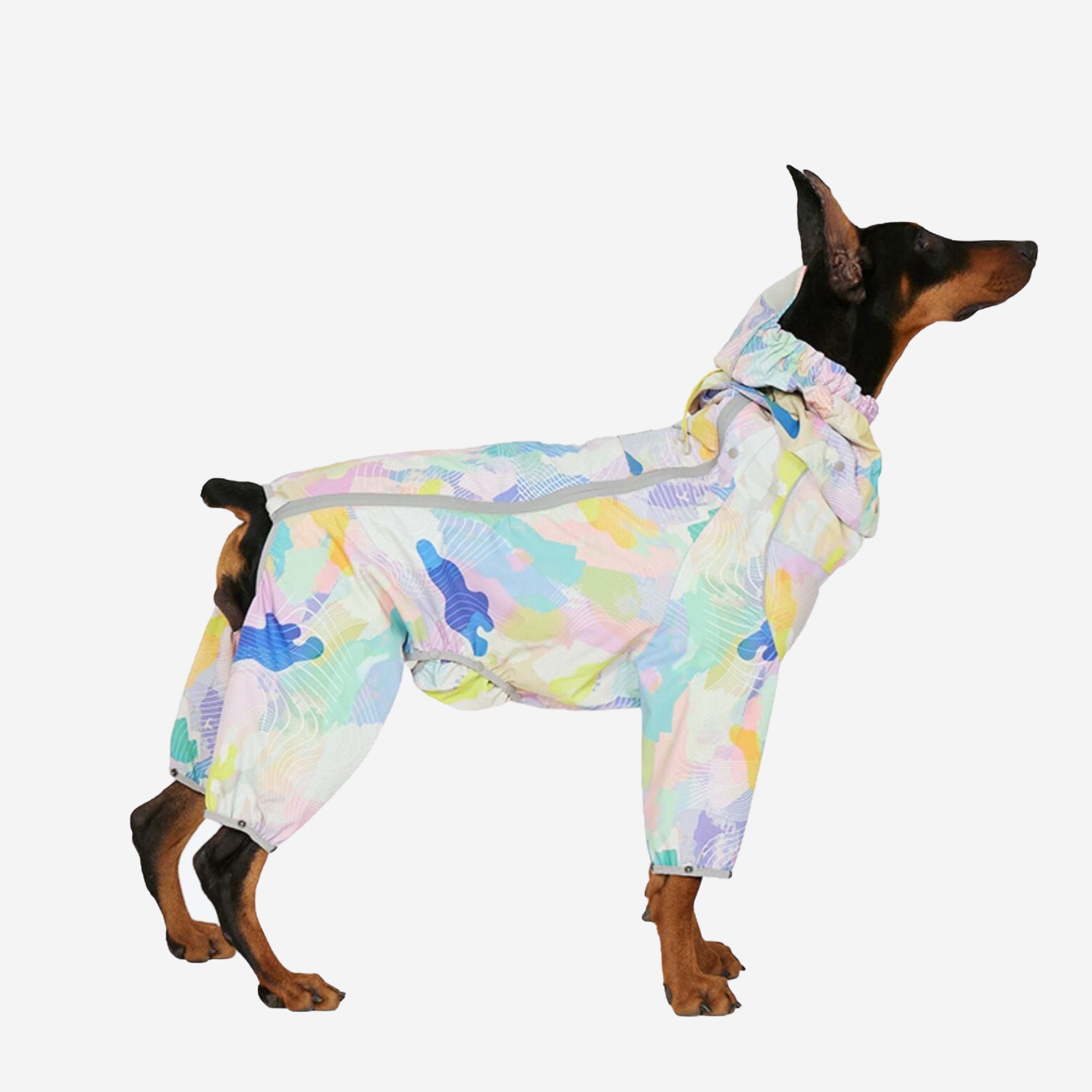 Corgiology| Rainbow Pop Dog Raincoat,Rainbow