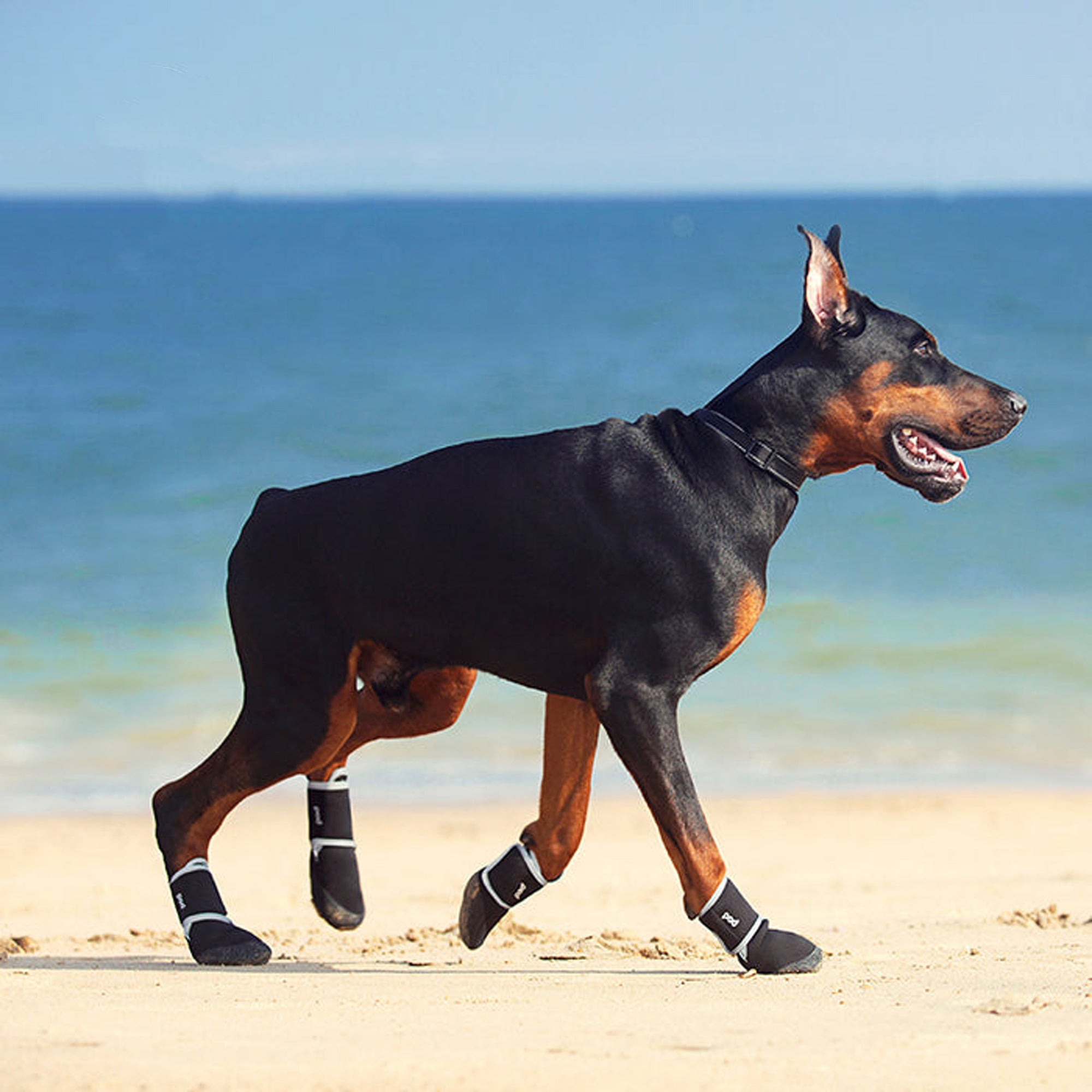 Anti-Slip Dog Boots,Green,Black