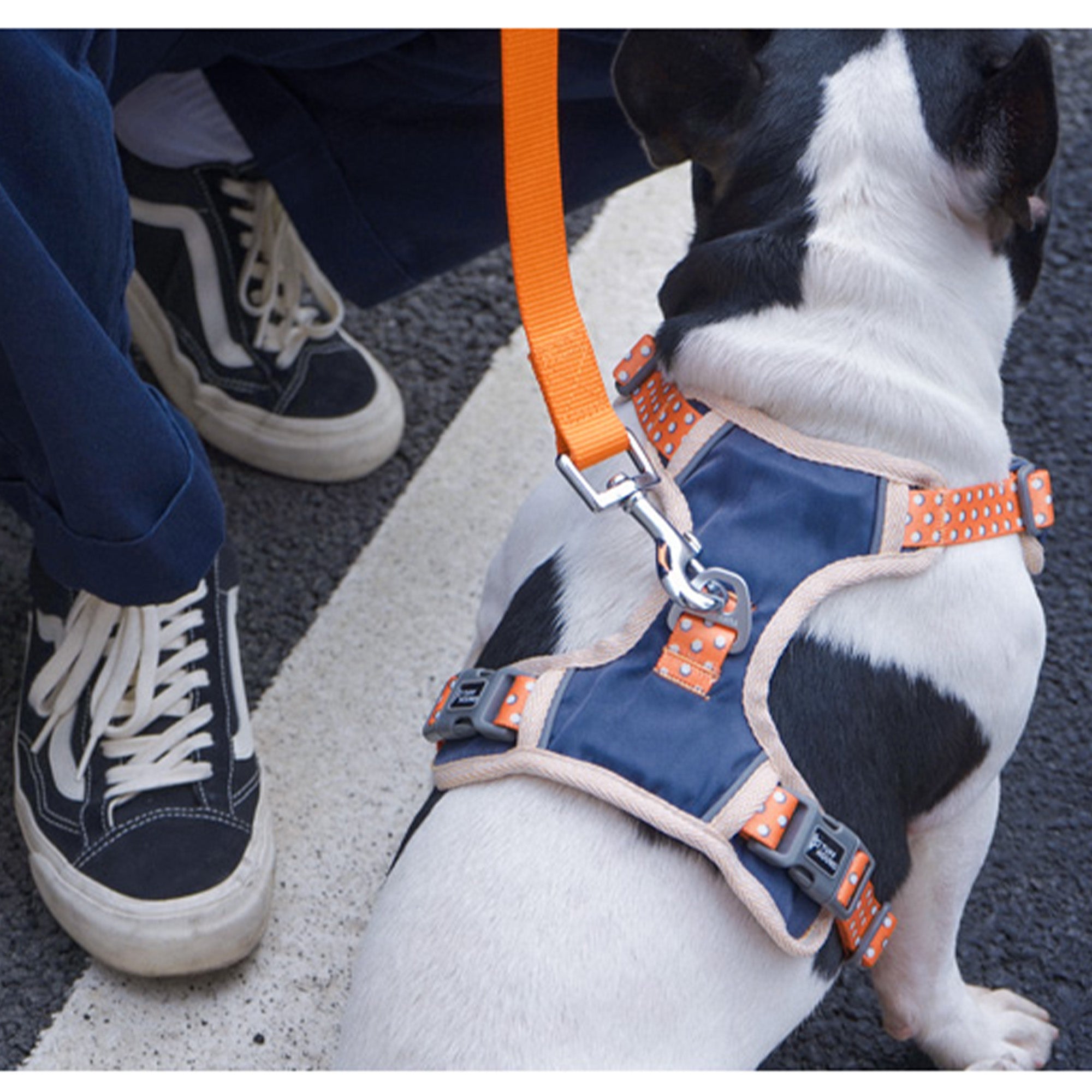 Tuff hound outlet harness