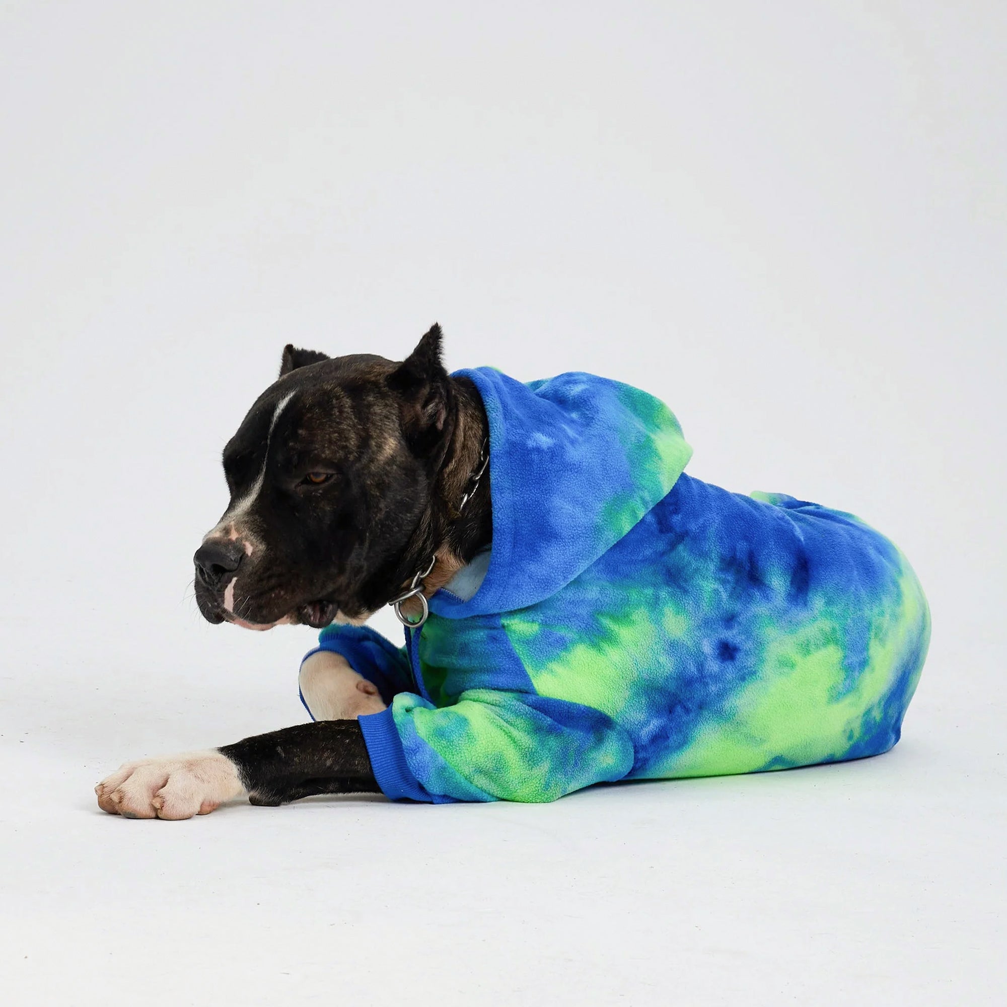 Pupwonders | Green Warm and Thickened Tie-Dye Dog Hoodie