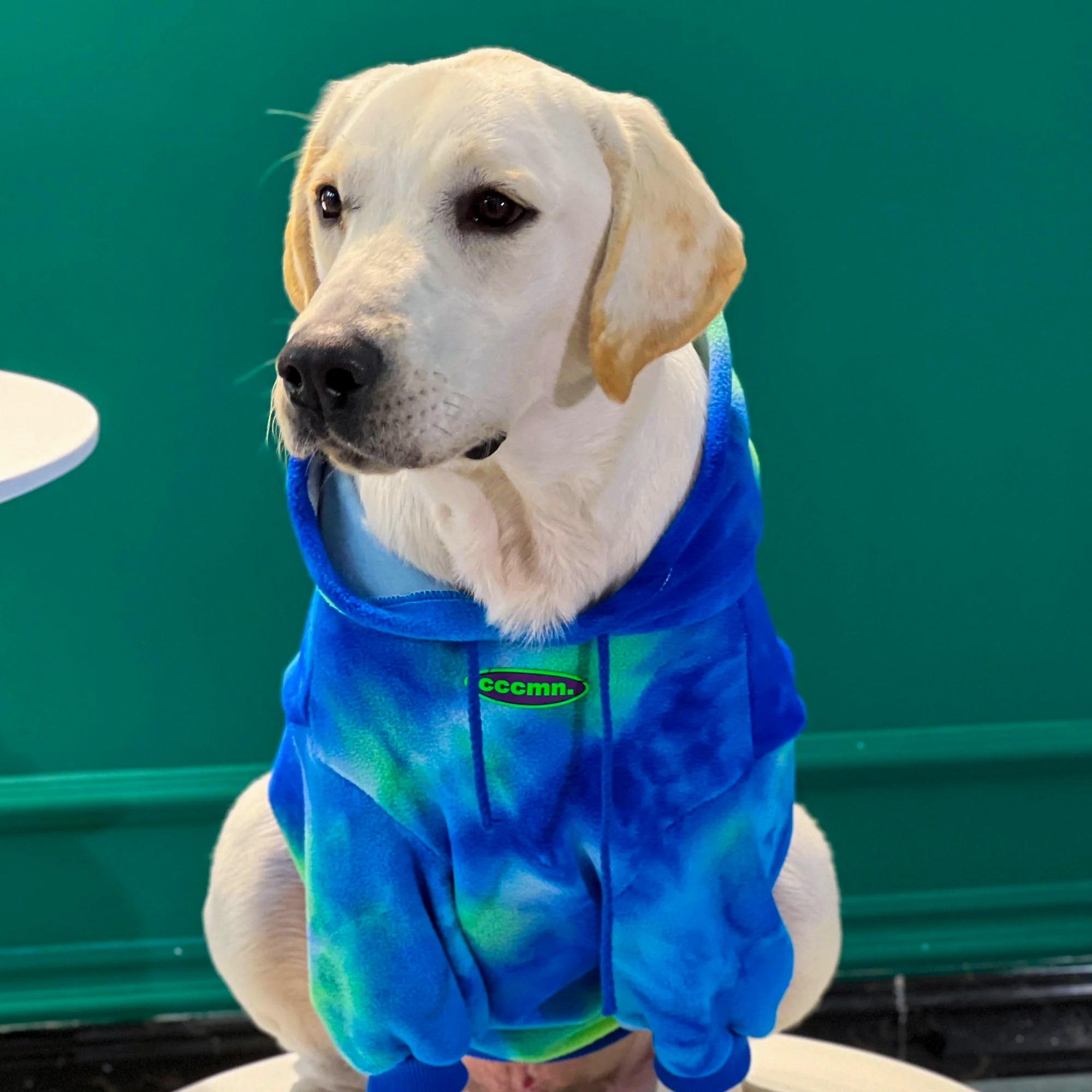 Pupwonders | Green Warm and Thickened Tie-Dye Dog Hoodie,Green