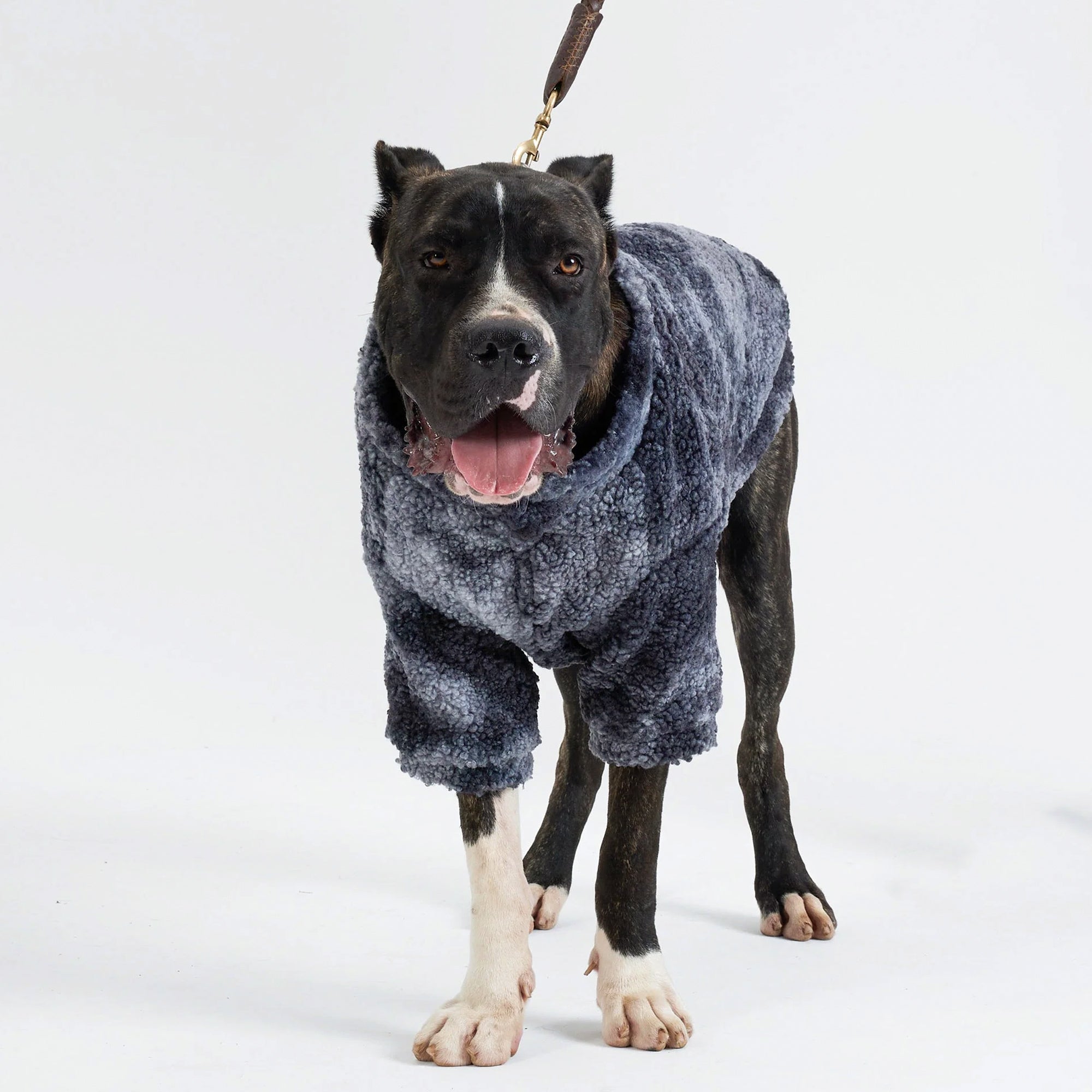 Pupwonders | Dog Hoodie Wool Sweater - Black,Black