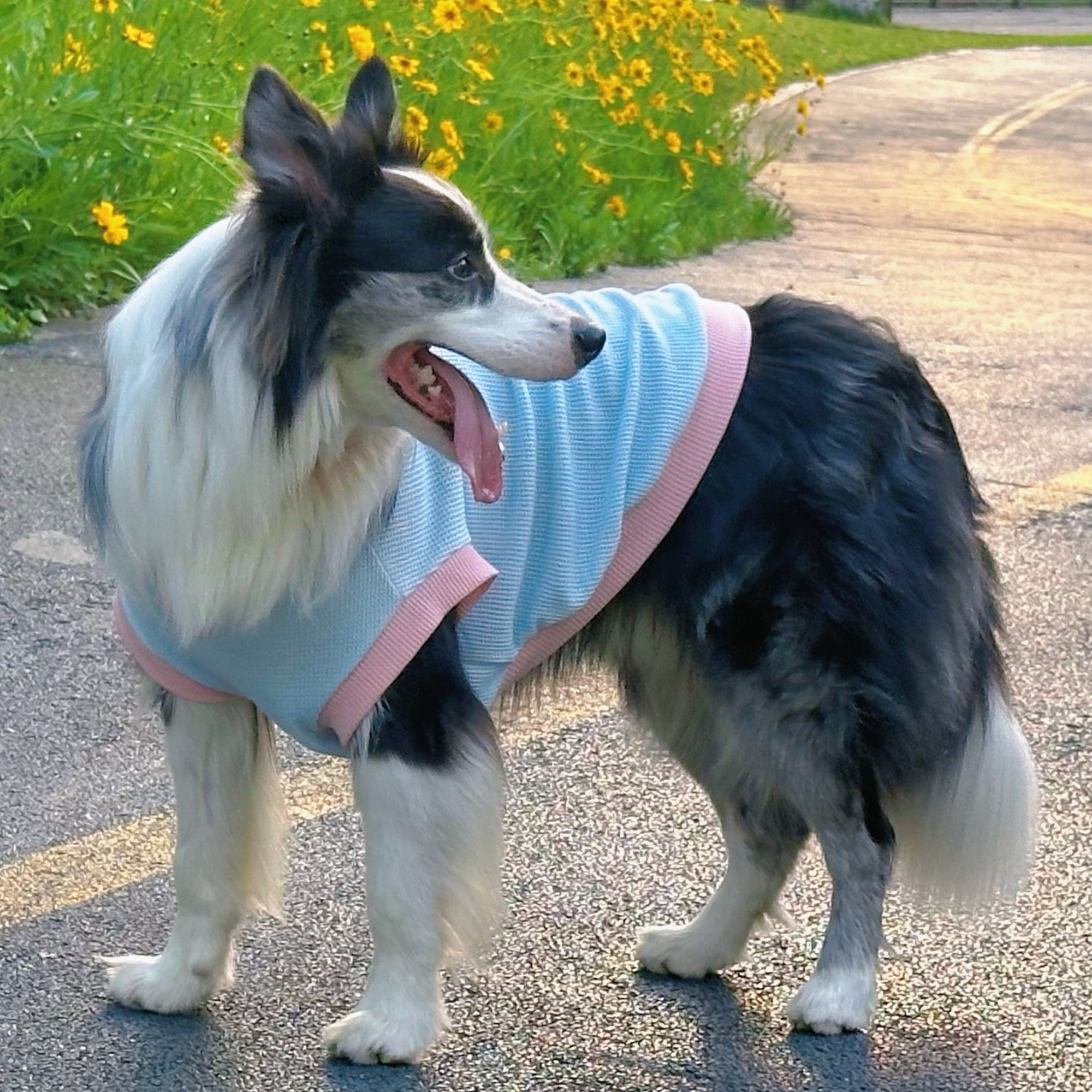 Pupwonders | Skin-friendly breathable dog T-shirt,Pink