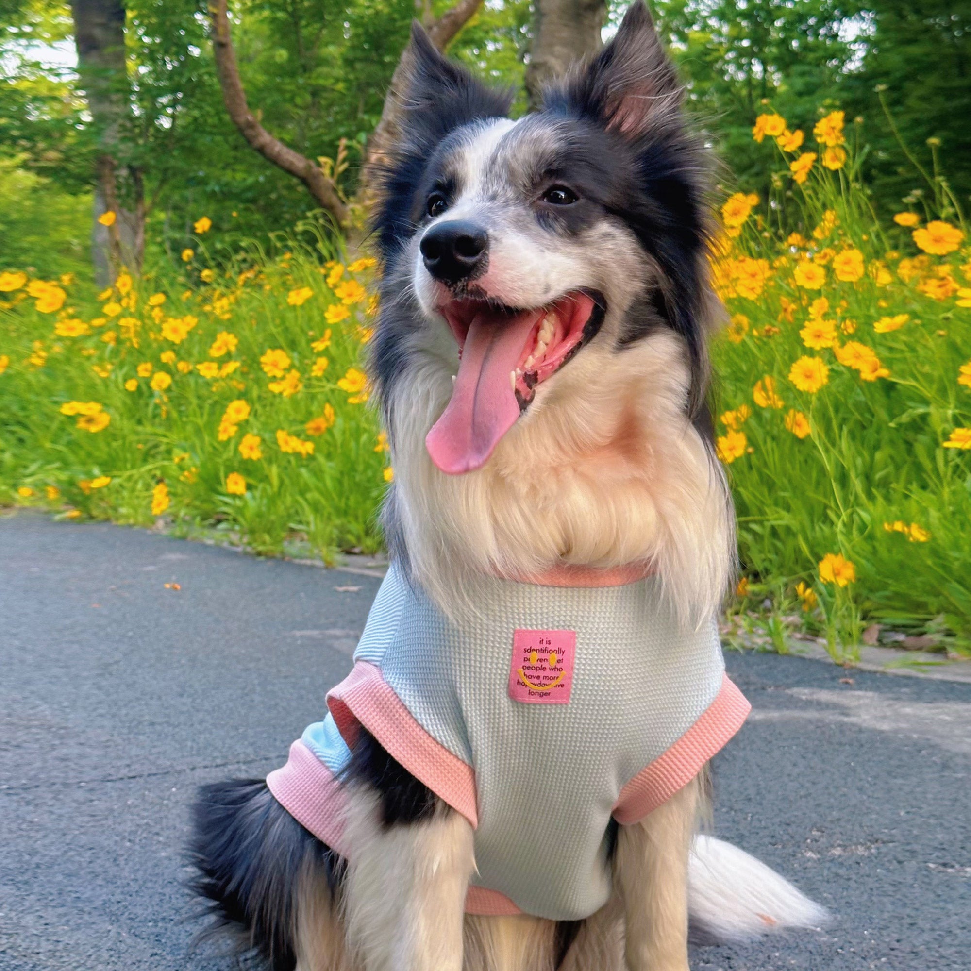 Pupwonders | Skin-friendly breathable dog T-shirt,Pink